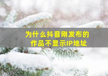 为什么抖音刚发布的作品不显示IP地址