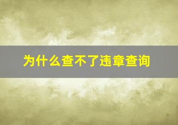 为什么查不了违章查询