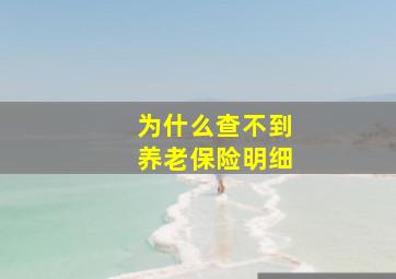 为什么查不到养老保险明细