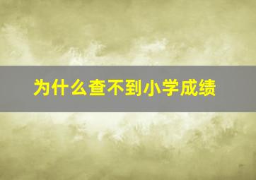 为什么查不到小学成绩