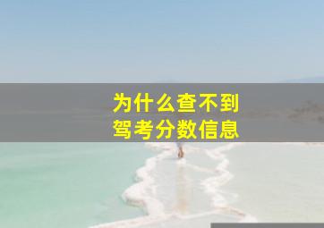 为什么查不到驾考分数信息