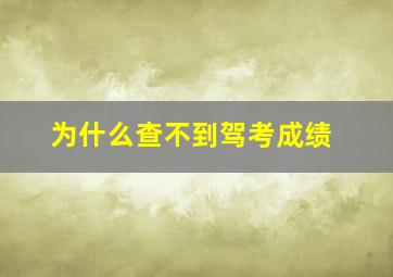 为什么查不到驾考成绩