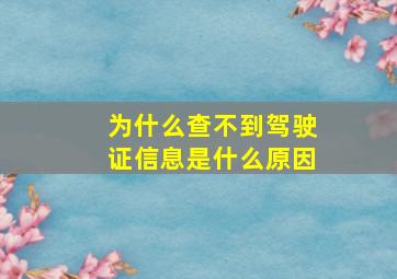 为什么查不到驾驶证信息是什么原因