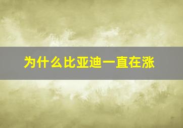 为什么比亚迪一直在涨