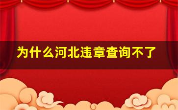 为什么河北违章查询不了