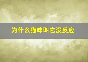 为什么猫咪叫它没反应