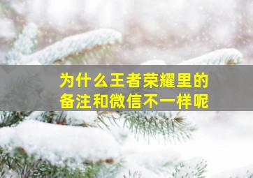 为什么王者荣耀里的备注和微信不一样呢