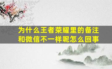 为什么王者荣耀里的备注和微信不一样呢怎么回事