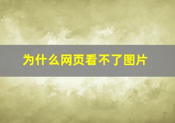 为什么网页看不了图片