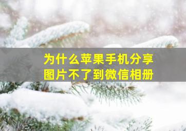 为什么苹果手机分享图片不了到微信相册