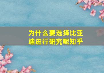 为什么要选择比亚迪进行研究呢知乎