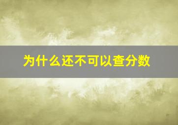 为什么还不可以查分数