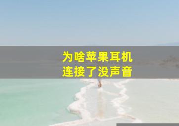 为啥苹果耳机连接了没声音