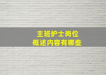 主班护士岗位概述内容有哪些