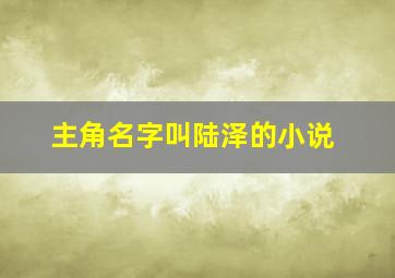 主角名字叫陆泽的小说