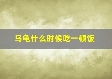 乌龟什么时候吃一顿饭