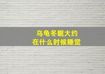 乌龟冬眠大约在什么时候睡觉