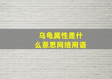 乌龟属性是什么意思网络用语