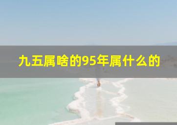 九五属啥的95年属什么的