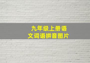 九年级上册语文词语拼音图片