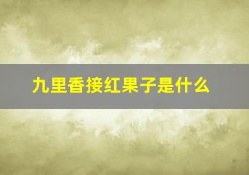 九里香接红果子是什么