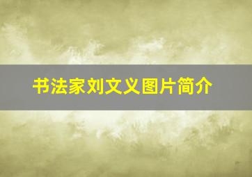 书法家刘文义图片简介