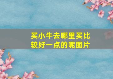 买小牛去哪里买比较好一点的呢图片