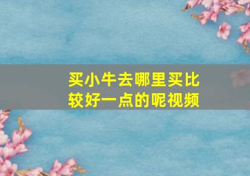 买小牛去哪里买比较好一点的呢视频