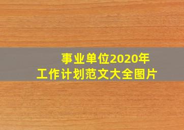 事业单位2020年工作计划范文大全图片