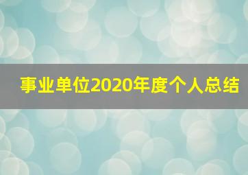 事业单位2020年度个人总结