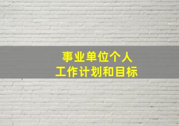 事业单位个人工作计划和目标