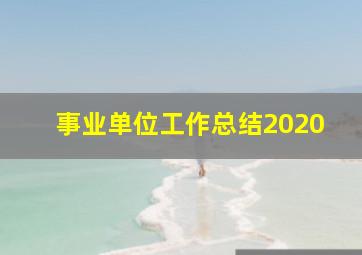 事业单位工作总结2020