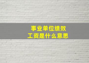 事业单位绩效工资是什么意思