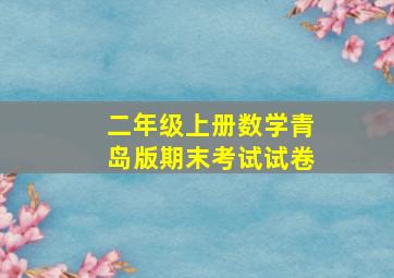 二年级上册数学青岛版期末考试试卷