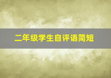 二年级学生自评语简短