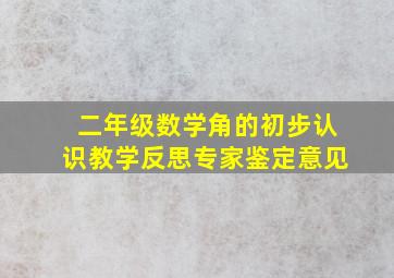 二年级数学角的初步认识教学反思专家鉴定意见