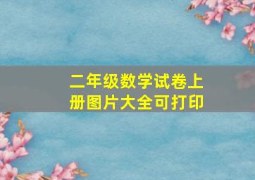 二年级数学试卷上册图片大全可打印