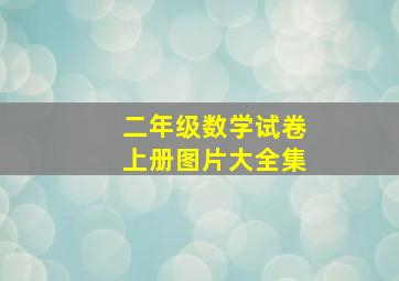 二年级数学试卷上册图片大全集