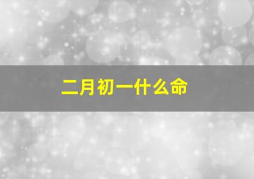 二月初一什么命