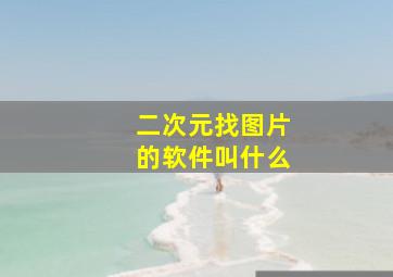 二次元找图片的软件叫什么