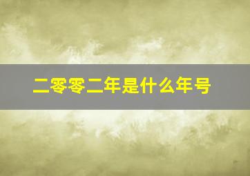 二零零二年是什么年号