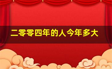 二零零四年的人今年多大