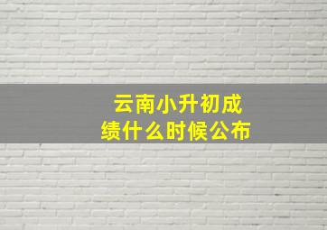 云南小升初成绩什么时候公布