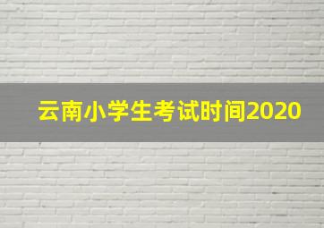 云南小学生考试时间2020