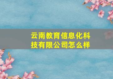 云南教育信息化科技有限公司怎么样