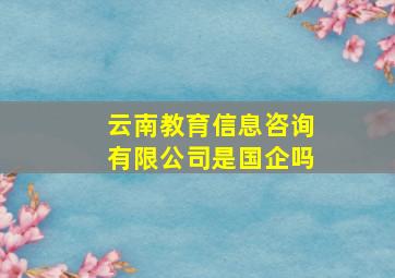 云南教育信息咨询有限公司是国企吗