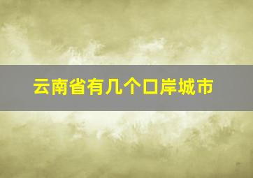 云南省有几个口岸城市