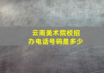 云南美术院校招办电话号码是多少