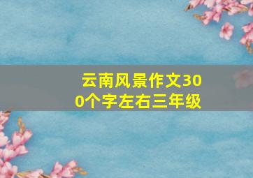 云南风景作文300个字左右三年级