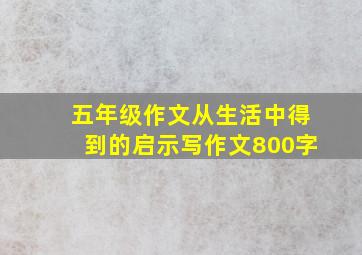 五年级作文从生活中得到的启示写作文800字